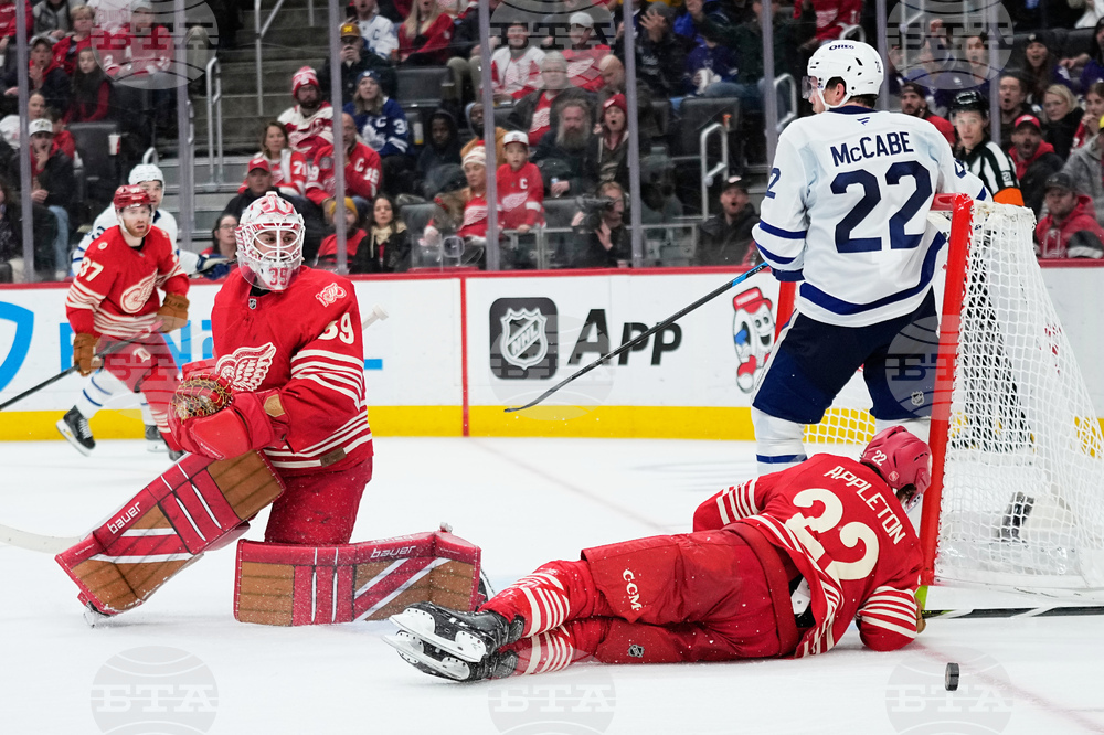 Maple Leafs Red Wings Hockey
