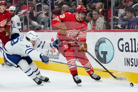 Maple Leafs Red Wings Hockey