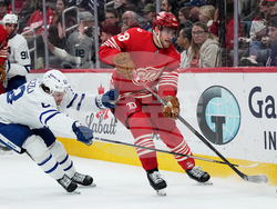 Maple Leafs Red Wings Hockey