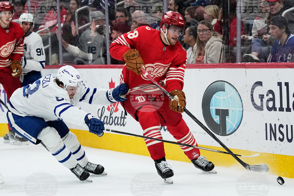 Maple Leafs Red Wings Hockey