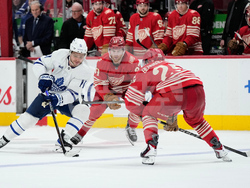 Maple Leafs Red Wings Hockey