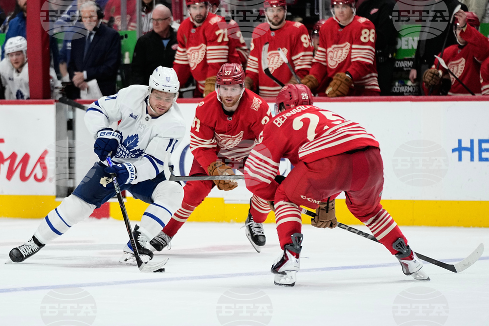 Maple Leafs Red Wings Hockey