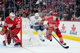 Maple Leafs Red Wings Hockey