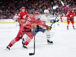 Maple Leafs Red Wings Hockey