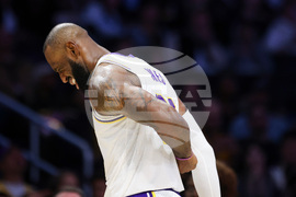 Kings Lakers Basketball