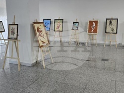 Национален пресклуб на БТА Анкара - изложба