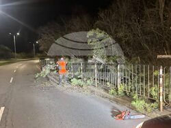 Снимка: Община Стара Загора 