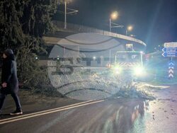 Снимка: Община Стара Загора 