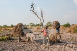 Senegal Young Farmers