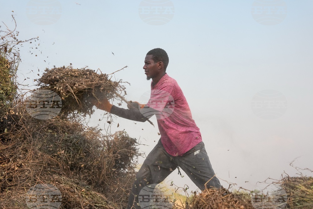 Senegal Young Farmers