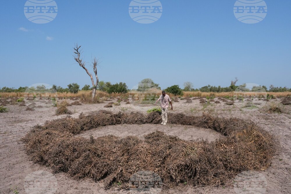 Senegal Young Farmers