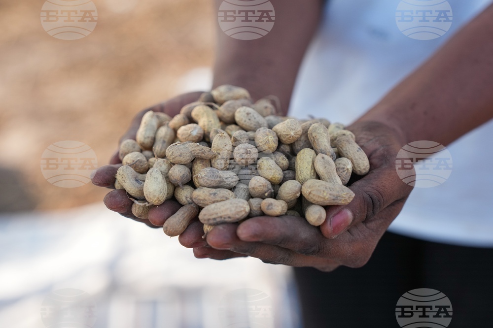 Senegal Young Farmers