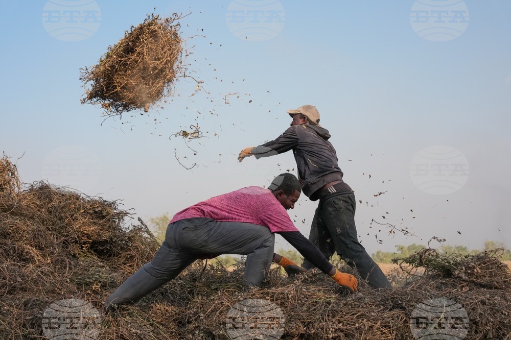 Senegal Young Farmers