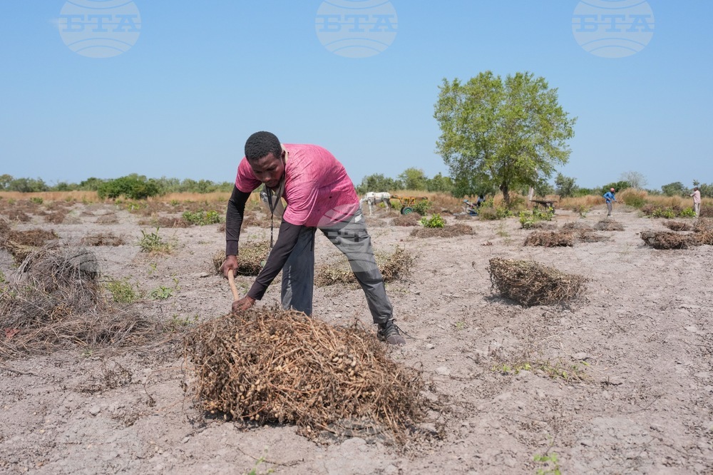 Senegal Young Farmers