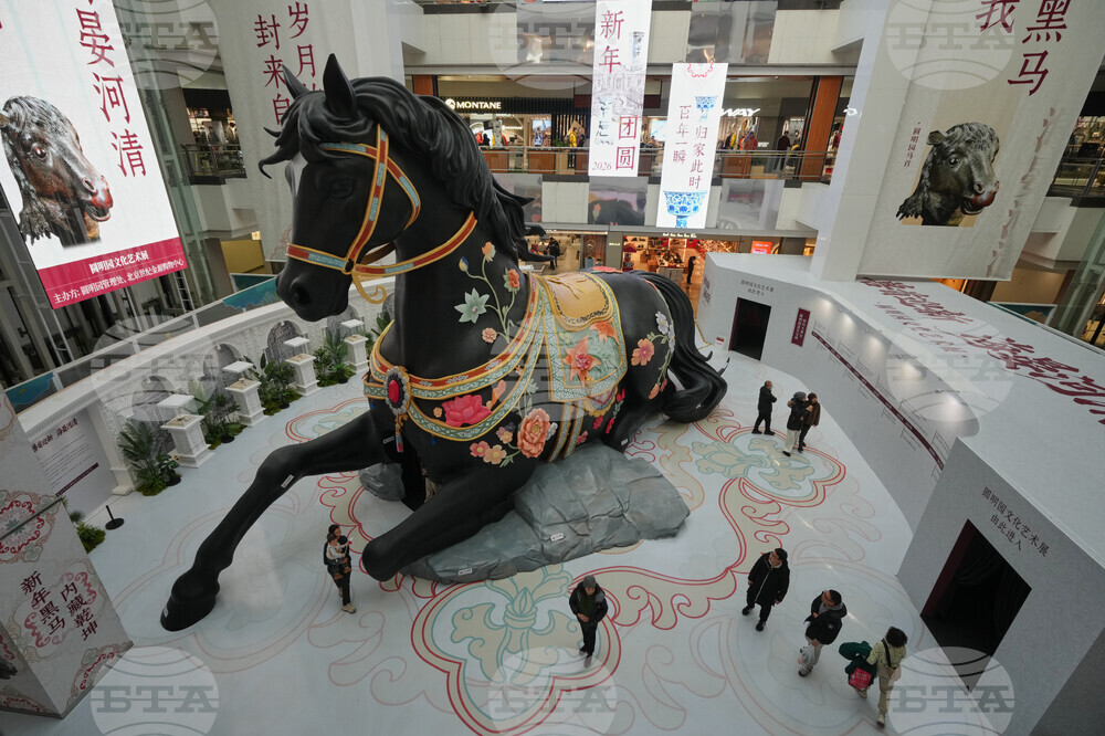 China New Year Preparation