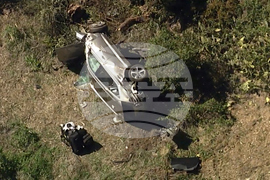 Tiger at 50 Timeline Golf