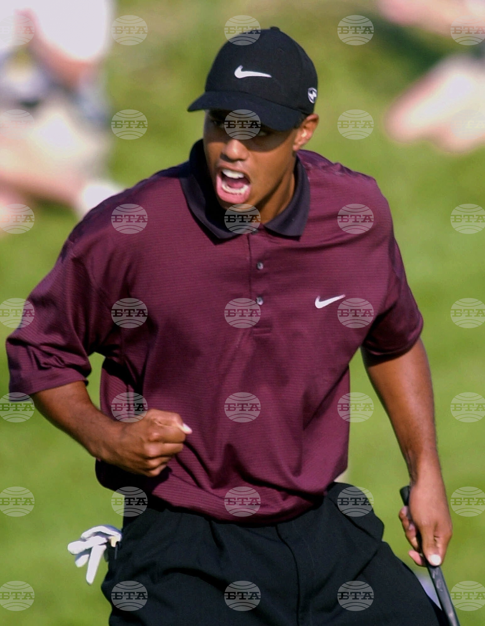 Tiger at 50 Shots Golf