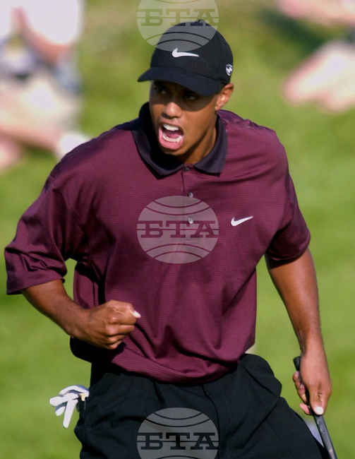 Tiger at 50 Shots Golf