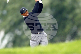 Tiger at 50 Shots Golf