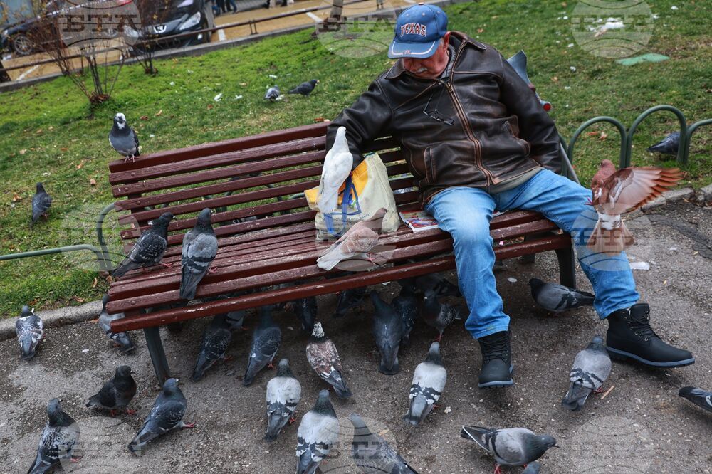 Ежедневие в столицата