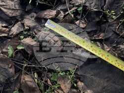 Снимка: Министерство на отбраната