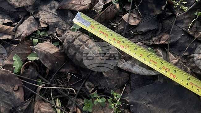 Военни унищожиха невзривена ръчна граната в Плевен, съобщиха от Министерството на отбраната