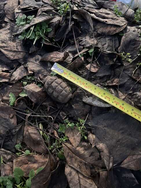 Военни унищожиха невзривена ръчна граната в Плевен, съобщиха от Министерството на отбраната