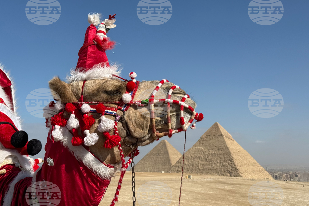 Egypt New Year