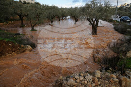 Israel Palestinians Weather