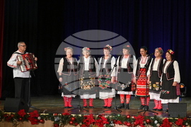 Монтана - читалища - традиции