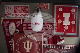 CFP-Indiana Fandom