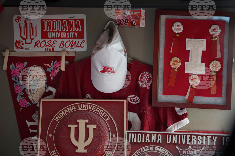 CFP-Indiana Fandom