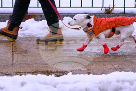 Winter Weather New Hampshire