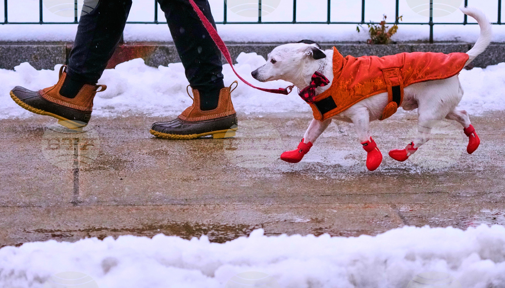 Winter Weather New Hampshire