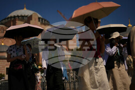 Climate Year End Report