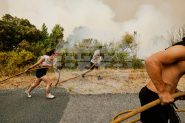 Climate Year End Report