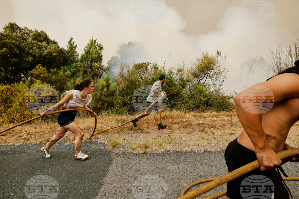 Climate Year End Report