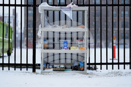 Winter Weather Michigan