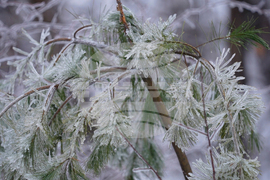 Winter Weather Maine