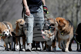 Be Well Couples Buying Time