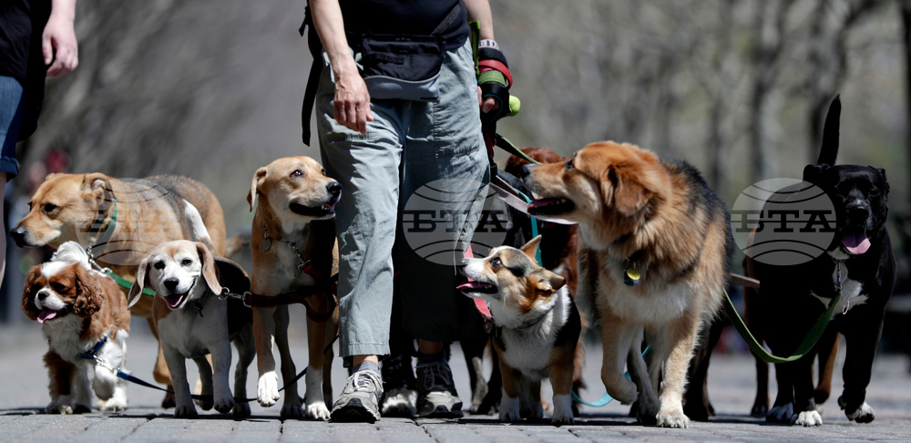 Be Well Couples Buying Time