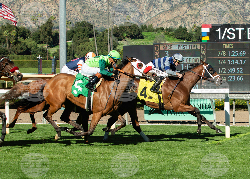 Santa Anita Horse Racing