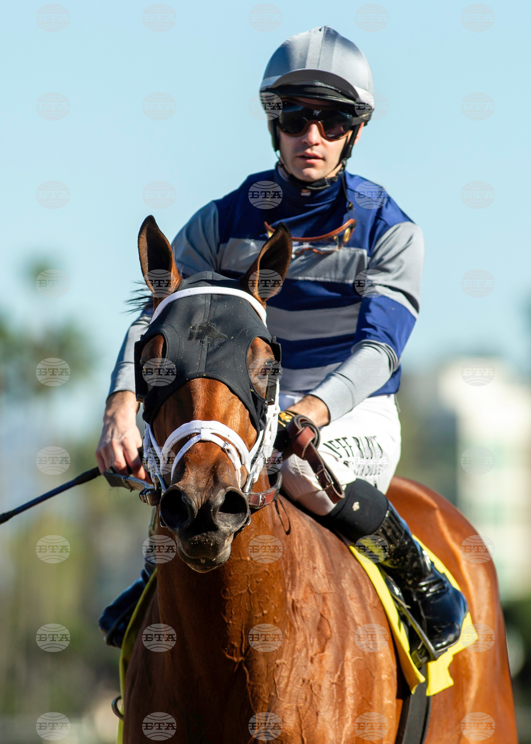 Santa Anita Horse Racing
