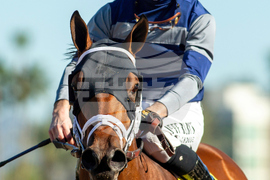 Santa Anita Horse Racing