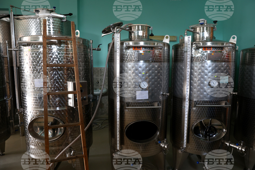 Белоградчик - проект „Вино и велосипед“