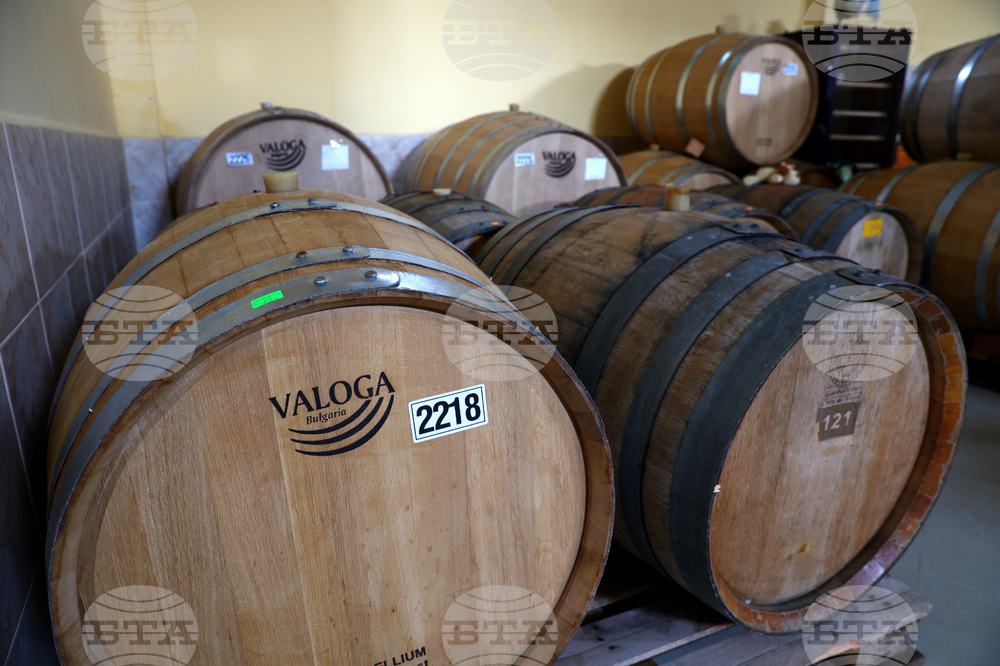 Белоградчик - проект „Вино и велосипед“