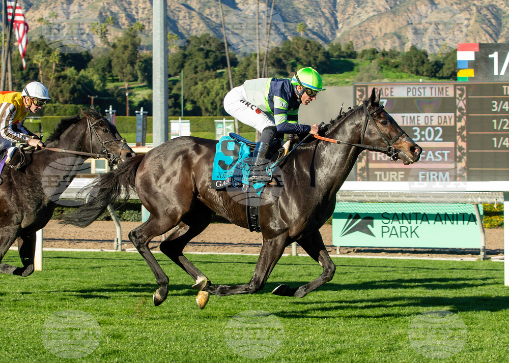 Santa Anita Horse Racing