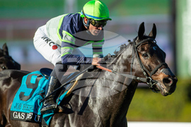 Santa Anita Horse Racing