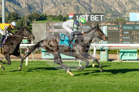 Santa Anita Horse Racing