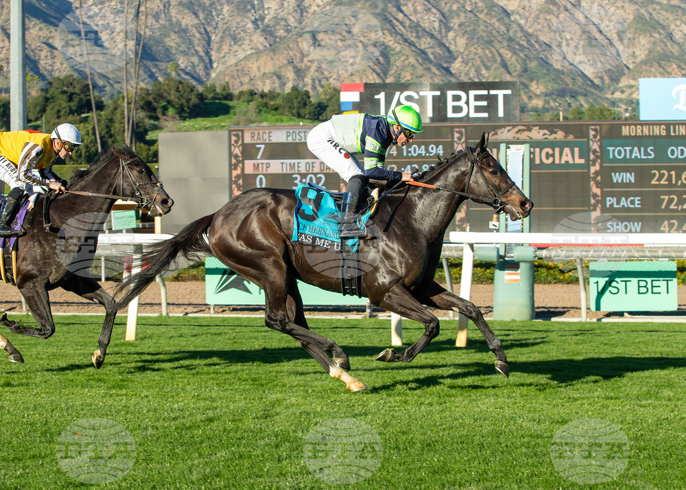 Santa Anita Horse Racing
